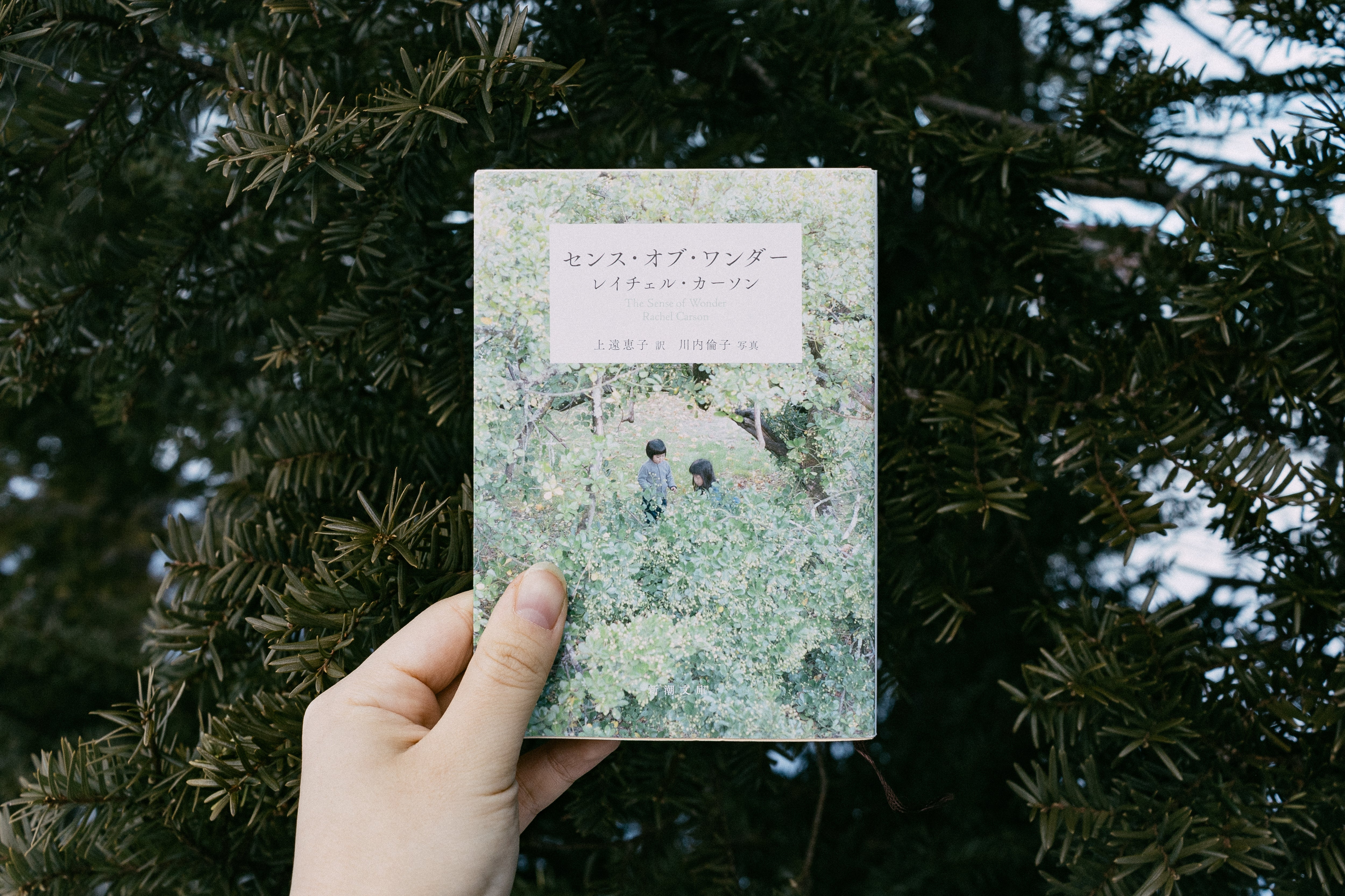 The Sense of Wonderを集めるお店 – Wondering