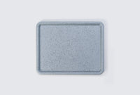 PLACE B4 Tray