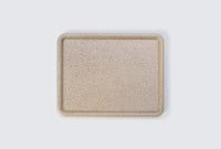 PLACE B4 Tray